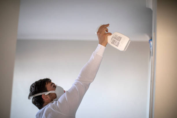Best Local Mold Removal Service  in Clover Creek, WA