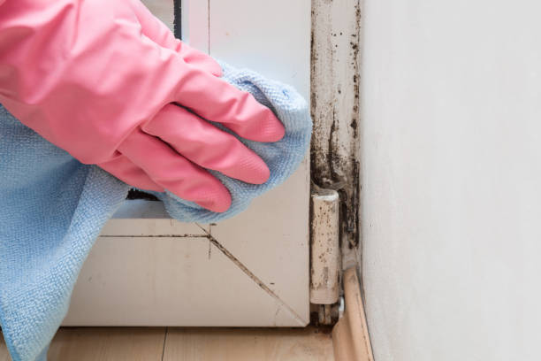 Water Damage Restoration in Clover Creek, WA